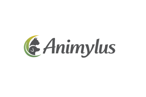 Animylus